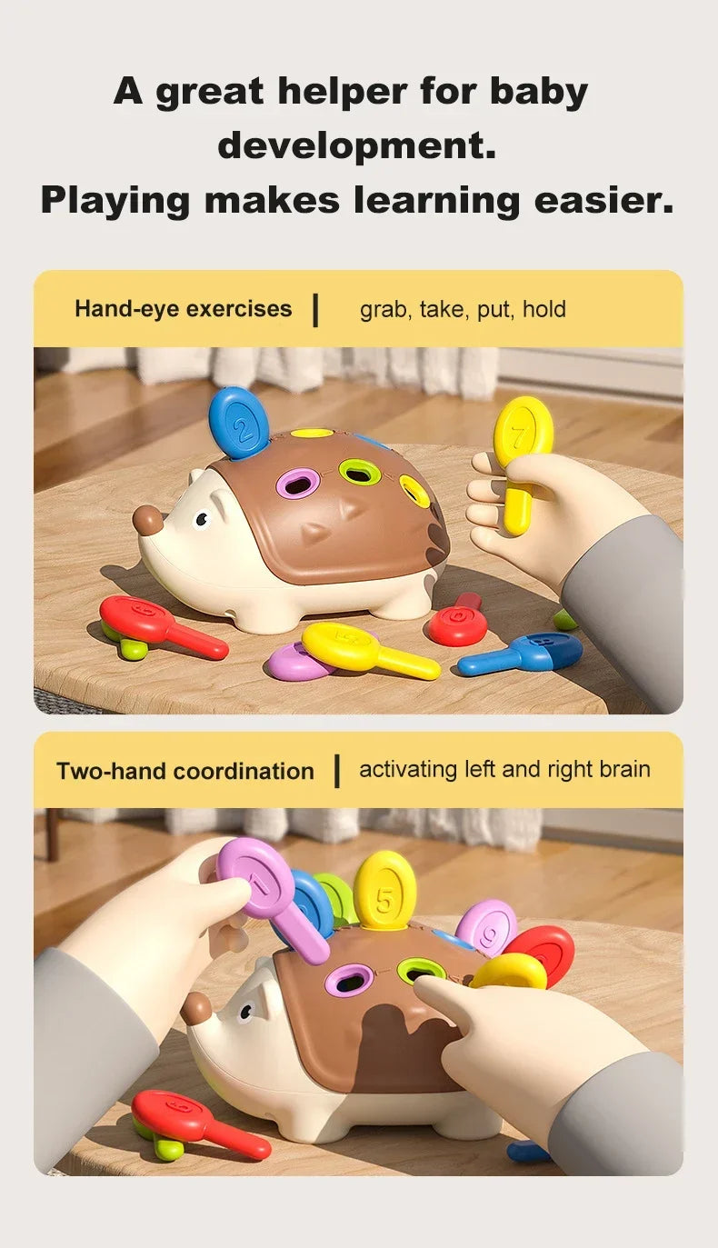 🦔✨ Riccio Montessori – Gioco Educativo per lo Sviluppo Motorio! ✨🦔