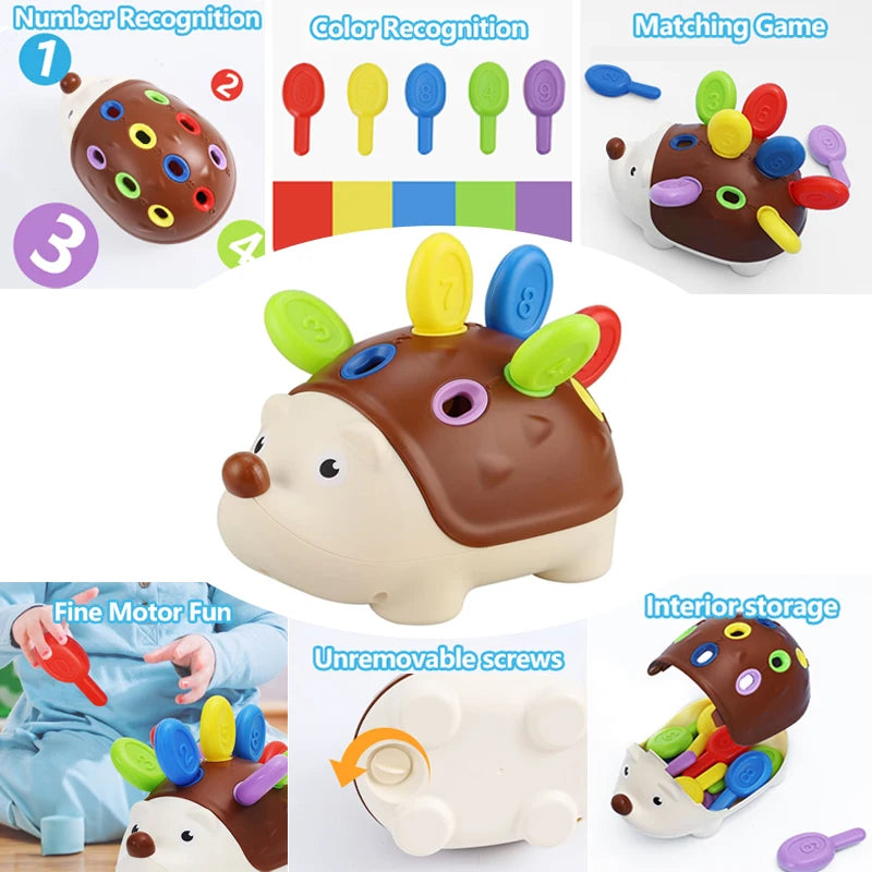 🦔✨ Riccio Montessori – Gioco Educativo per lo Sviluppo Motorio! ✨🦔