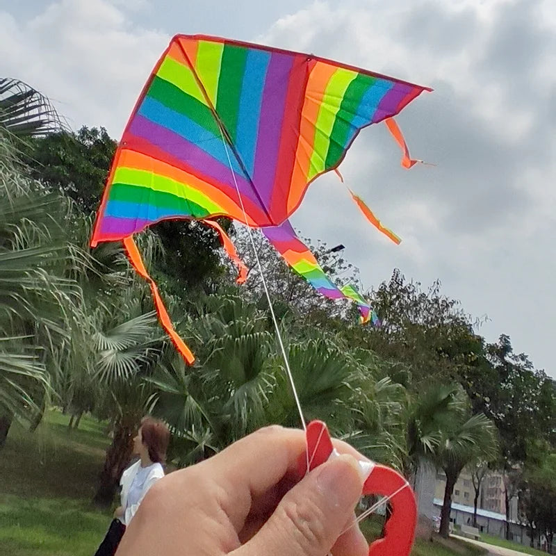 Aquilone Rainbow Colorato Facile da Vola - Giocattolo da Spiaggia per Bambini all'Aperto